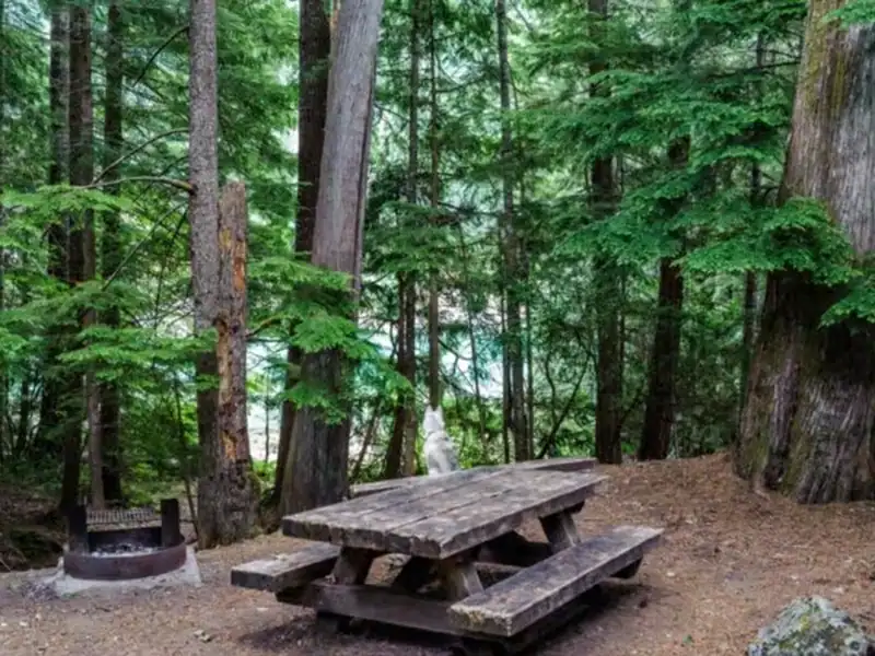What to Know Before RV Camping in National Parks
