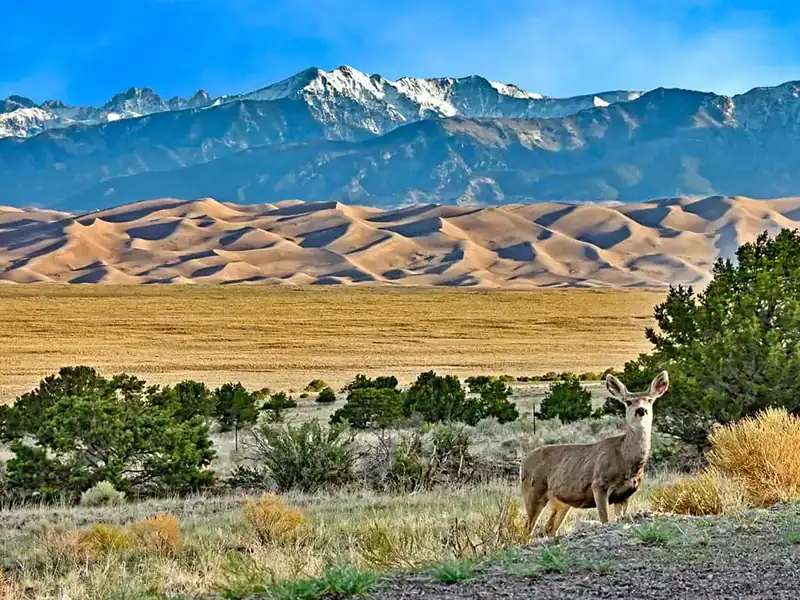 Top RV Destinations for Memorial Day Weekend - Great Dunes