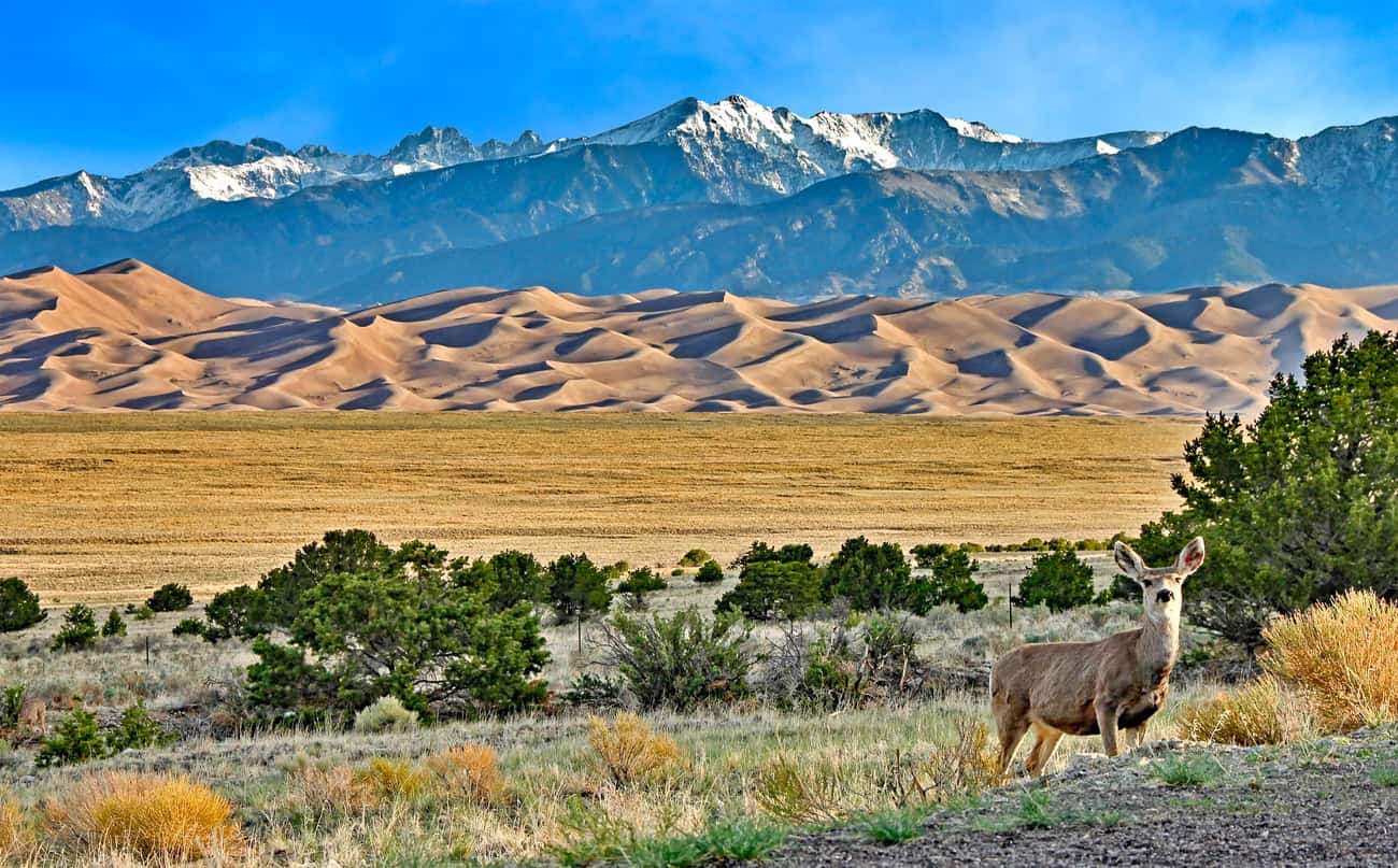 Great Sand Dunes National Park