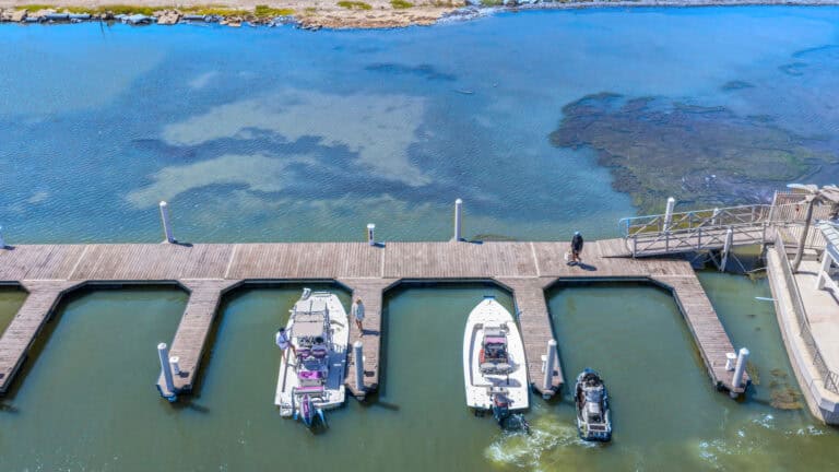 Luxury marina with docks and boats on calm water, outdoor waterfront recreational area.