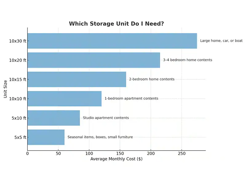 Infographic On Which Storage Unit Do You Need